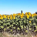 L'instant Provence *