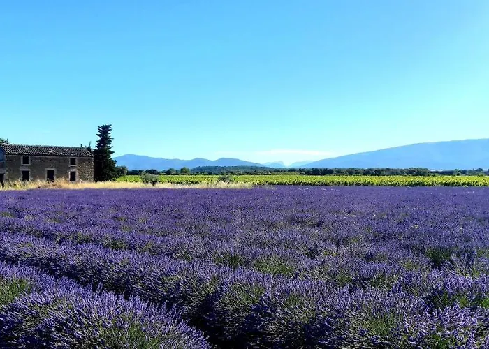 Tatil Evi L'instant Provence *