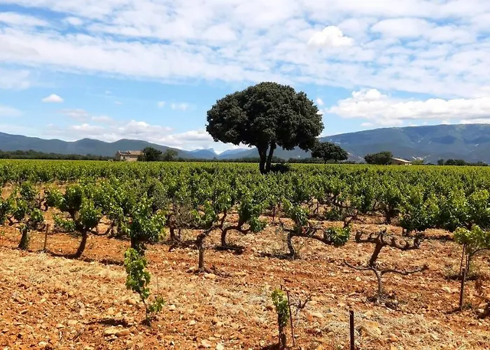 L'instant Provence *