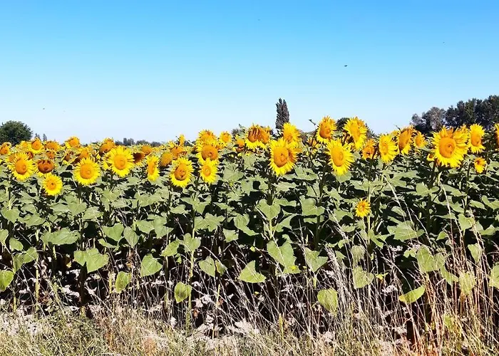 L'instant Provence *