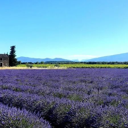 Holiday home L'instant Provence *