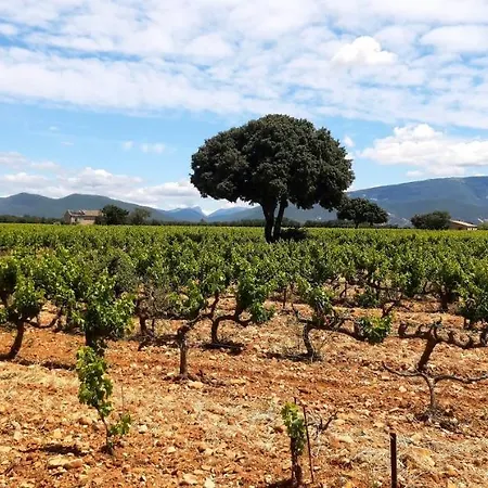 L'instant Provence *