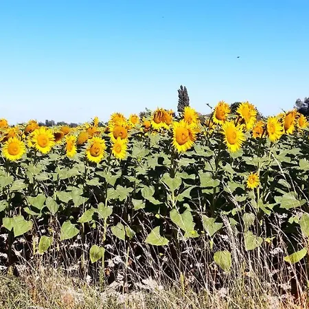 L'instant Provence *